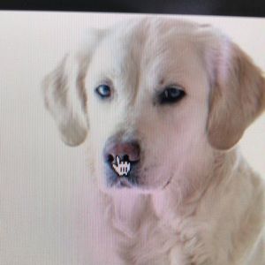 Meet your Posher, Lourdes